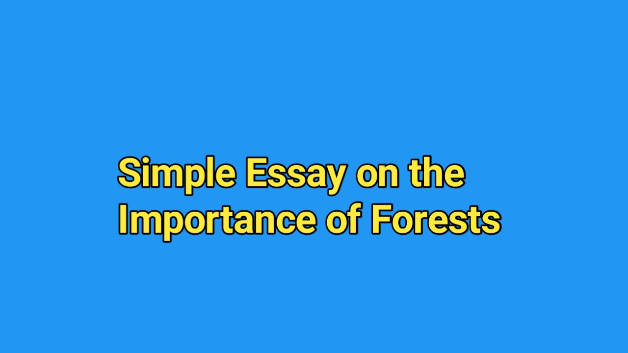 Simple Essay on the Importance of Forests